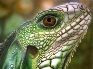 Ausschnitt eines Airbrush-Bildes eines Salamanders