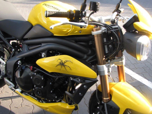 Seitenansicht eines gelb-schwarzen Motorrads mit einer mit Airbrush aufgetragenen Spinne auf dem rechten Seitenteil